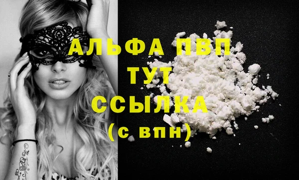 гашик Богданович