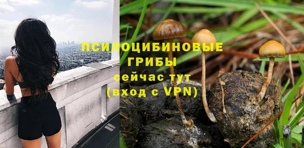 mix Богородск