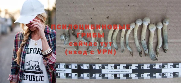 гашик Богданович