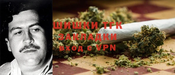 гашик Богданович