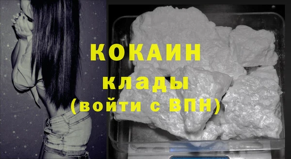 гашик Богданович
