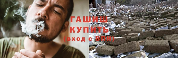 гашик Богданович