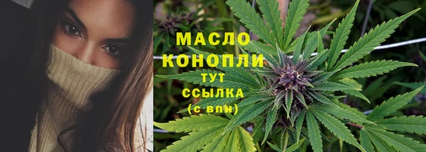 гашик Богданович