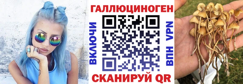 Купить закладки  Муром  Галлюциногенные грибы GOLDEN TEACHER 